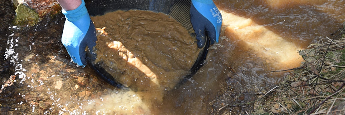 Ein Goldsucher wäscht Sedimente mit einer Waschpfanne in einem Bach im Erzgebirge