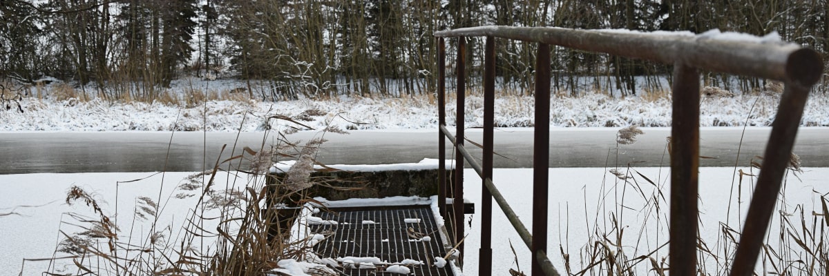 Teich im Winter