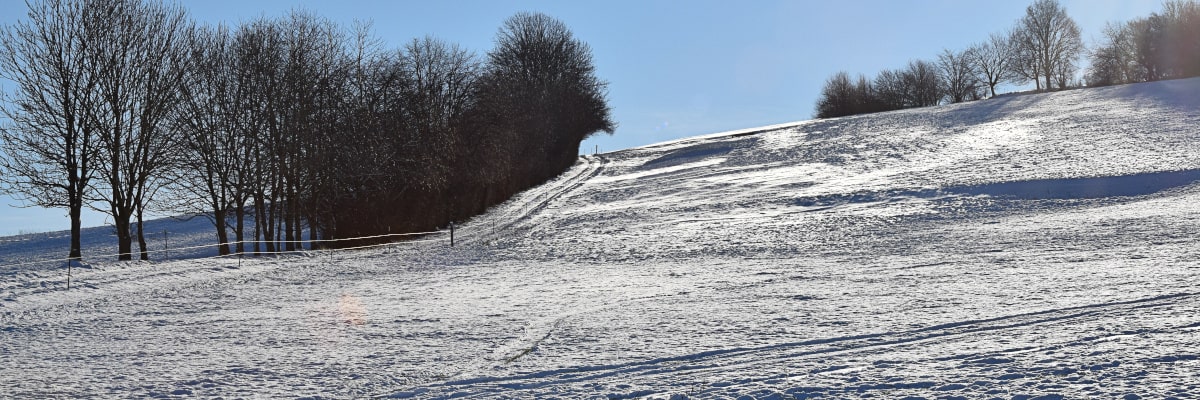 Winterlandschaft bei Großwaltersdorf