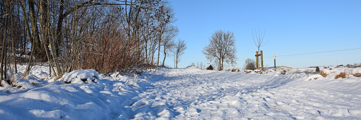 Schneebedeckter Feldweg bei Großwaltersdorf