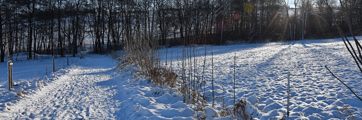 Winterlandschaft im Erzgebirge