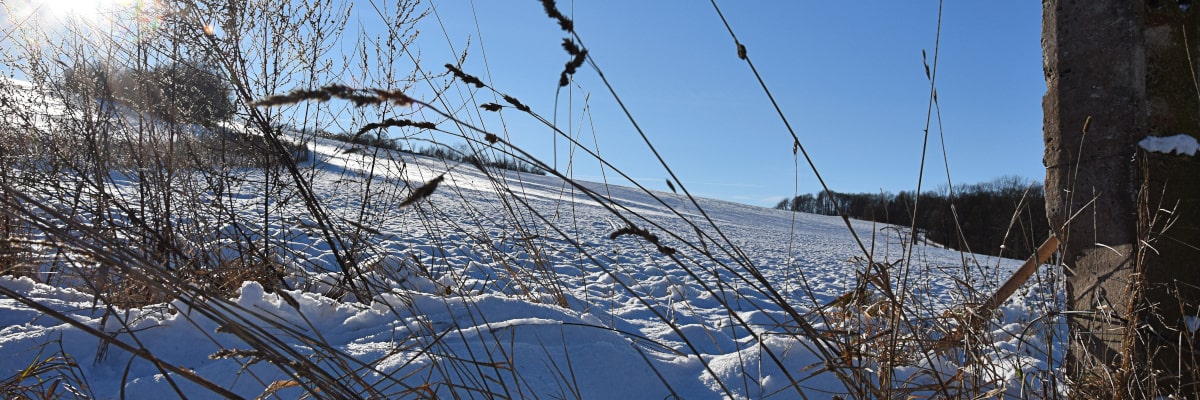 Schneebedeckter Hügel